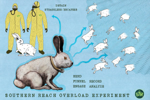 Jeff Vandermeer, Southern Reach Trilogy, Rabbit Totem, illustrated by Jeremy Zerfoss